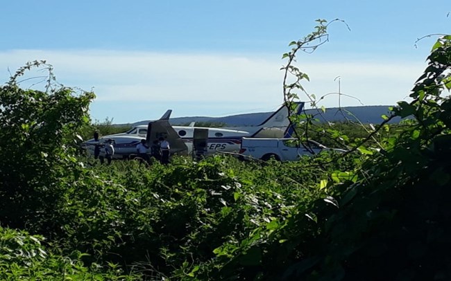 Avião carregado com vacinas bate em jumento na Bahia