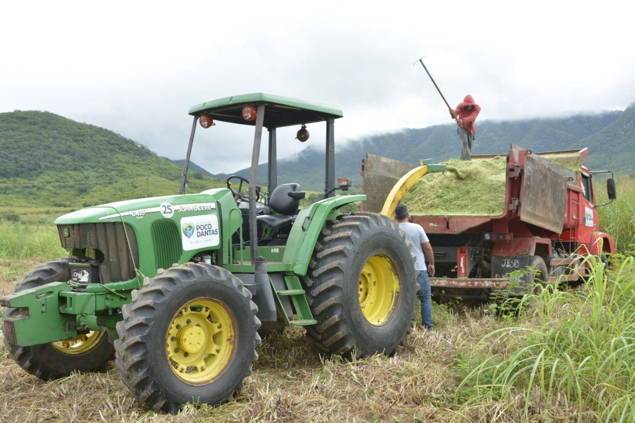 PREFEITURA DE POÇO DANTAS PARTE NA FRENTE NA PRODUÇÃO DE SILAGEM PARA O REBANHO BOVINO