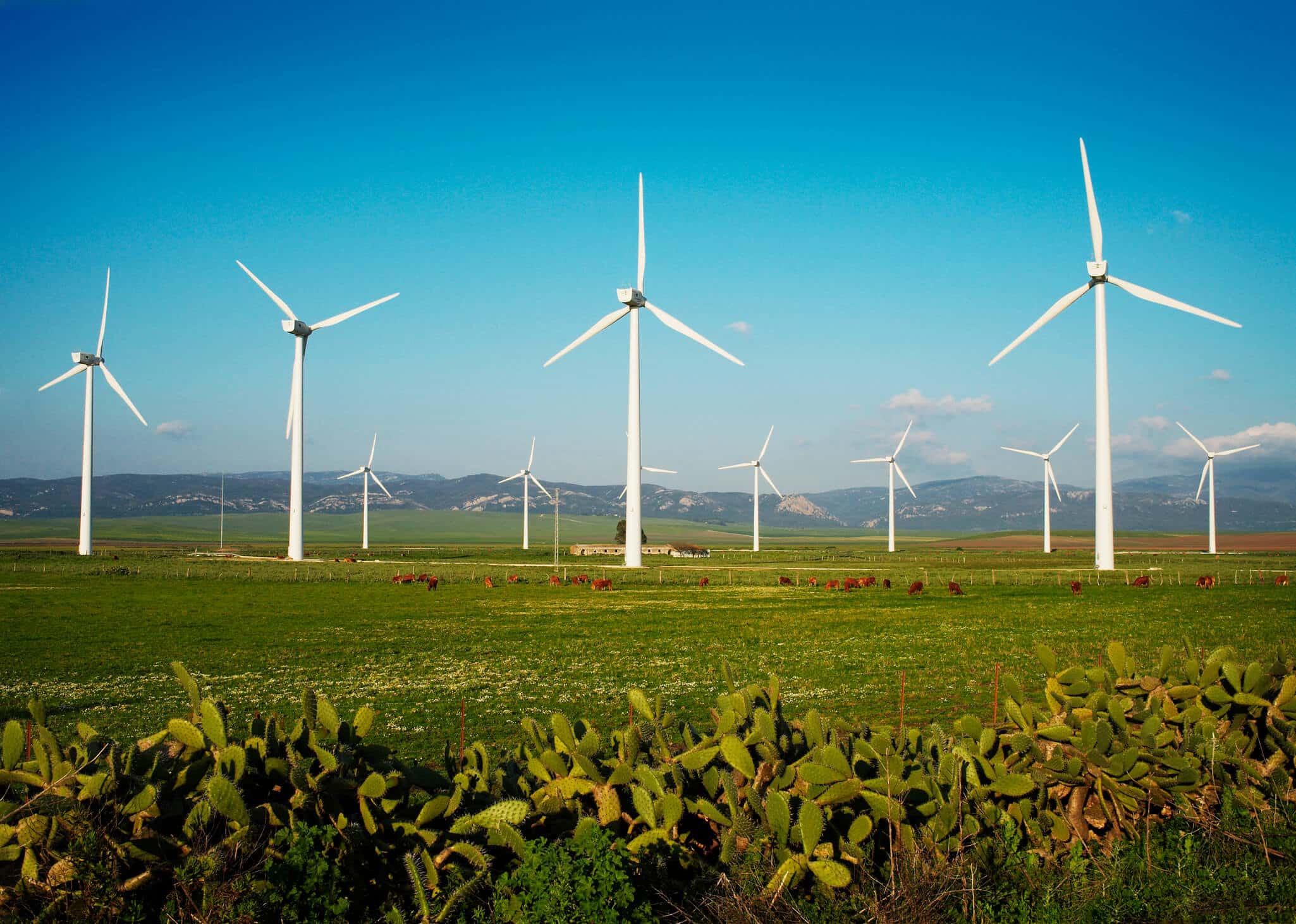 RN se torna maior gerador de energia eólica da América Latina