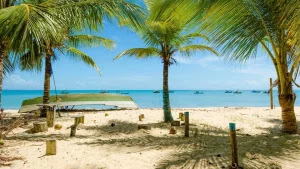 Casal de policiais militares mentem ao apresentar atestado de COVID e são vistos em praia