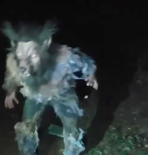 Após aterrorizar Apanha Peixe, mata gatos e cachorros na Língua de Vaca, Lobisomem é visto em Felipe Guerra
