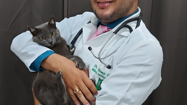Saiba os cuidados que deve tomar com gatos para evitar proliferação da esporotricose