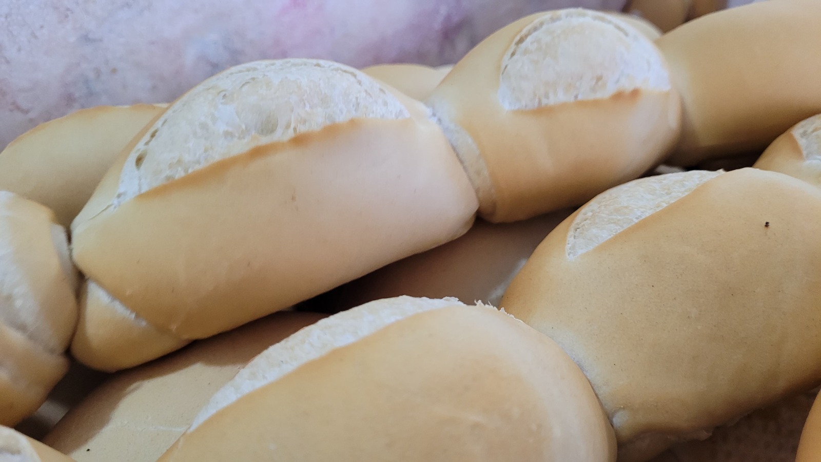 PANIFICADORA SOLIDÁRIA DE UIRAÚNA DISTRIBUI DIARIAMENTE PÃO E LEITE PARA MAIS DE 1000 FAMÍLIAS!