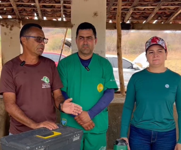 Prefeitura de Uiraúna realizar ações de melhorias genética dos rebanhos Bovinos, a pecuária familiar; Vídeo