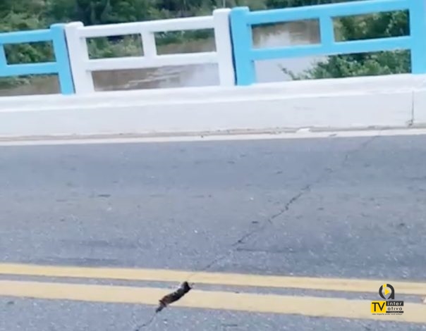 Ponte na BR-230, saída de Aparecida para Sousa, apresenta rachaduras no asfalto e gera preocupação entre moradores do Sertão Paraibano