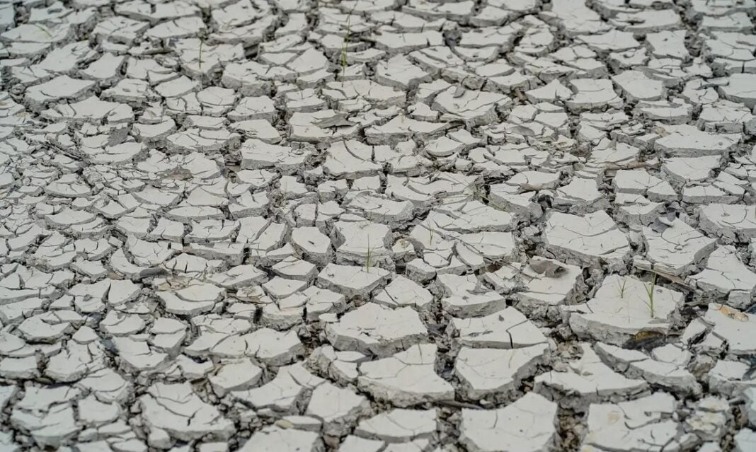 RN: 84,4% dos municípios apresentam algum nível de seca