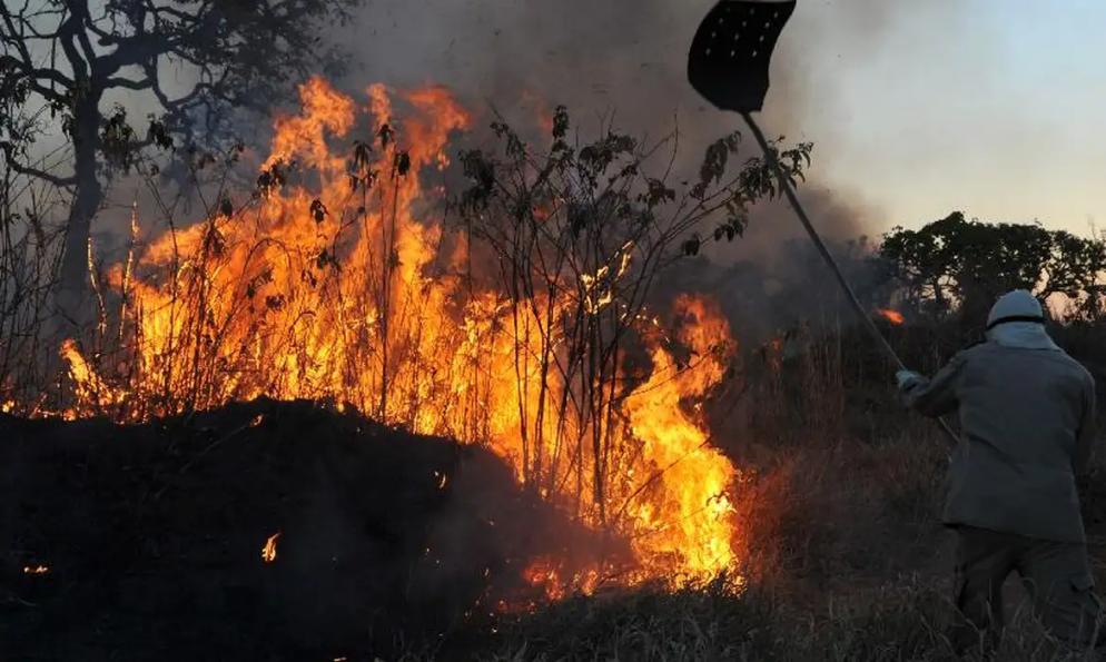 Incêndios e queimadas aumentam 17,8% no Rio Grande do Norte