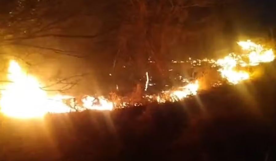 Vale dos Dinossauros, em Sousa, tem atividades suspensas após incêndio na vegetação