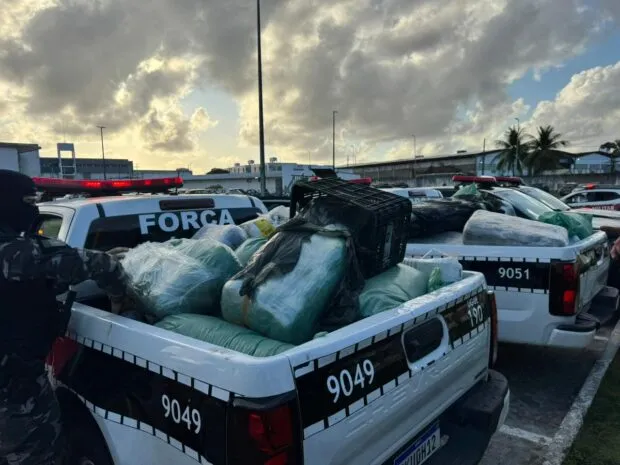 Polícia Militar apreende quase meia tonelada de drogas em operação na Grande João Pessoa