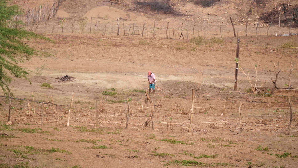 MIDR reconhece a situação de emergência em Cajazeiras e outras três cidades da Paraíba por causa da estiagem