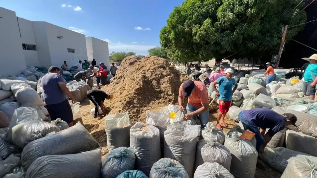 Prefeitura de Uiraúna inicia 3ª etapa do Agroforte