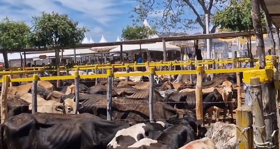 Jailson Teodoro recebe amigos em uma grande festa na feira de animais em José da Penha