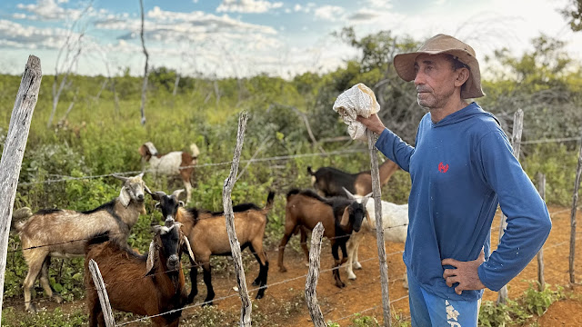 “Não sou bandido”: Agricultor preso por matar cães em defesa do rebanho relata sofrimento com ataques constantes em Apodi, RN