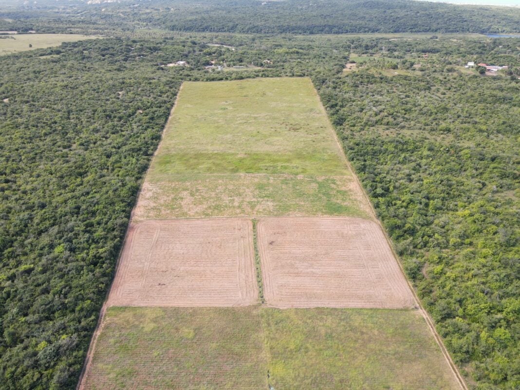 RN está entre os estados mais críticos em termos de conservação ambiental, aponta Ibama