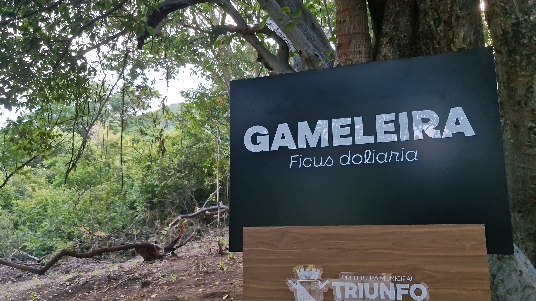 Trilha ecológica “Olho d’Água de Gamelas” revela belezas naturais de Triunfo e abre festividades do 22⁰ Triunfest