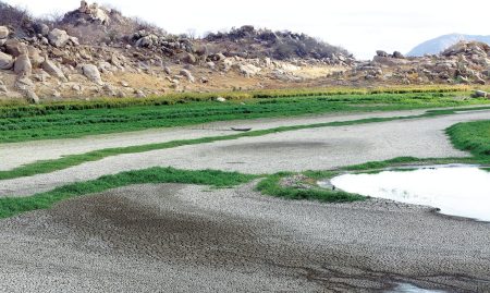 20250831_17NT1_FT_-Itaercio-Porpino_Arquivo-TN