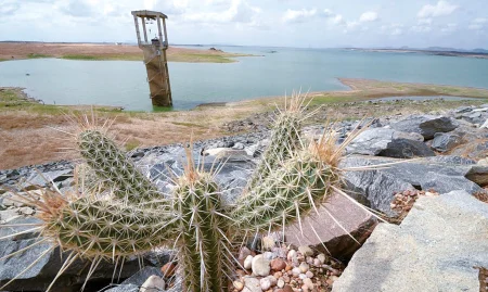 20251231_10NT1_Junior-Santos_Arquivo-TN