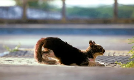 20260421_8NT2-2048x1366