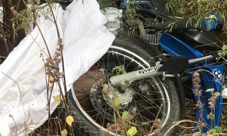 4ff603e2-d48d-45a2-9f9d-c3f2d0d54c1f