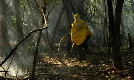 Brigadista-atuando-em-incendio-na-Amazonia