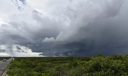 Chuva-na-estrada_Elisa-Elsie-1