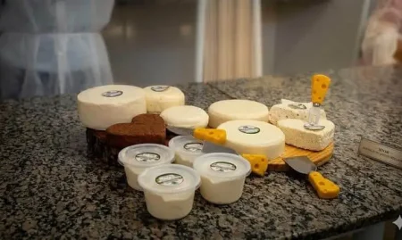Produtores-rurais-aprendem-fabricacao-de-queijo-artesanal-em-Poco-Dantas