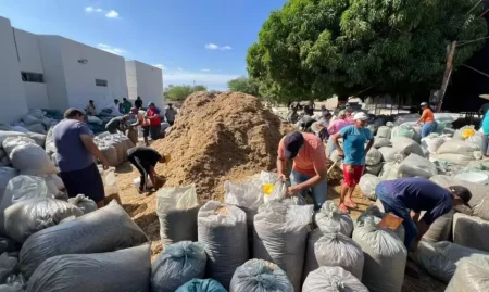 WhatsApp-Image-2025-12-15-at-11.37.54-1024x576