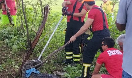 WhatsApp-Image-2026-03-30-at-10.21.47-e1774878491830