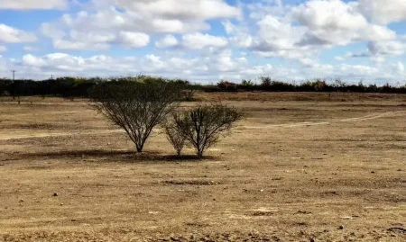 b595f5c8668b781042873d10e31a3aad