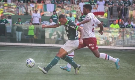 palmeiras1
